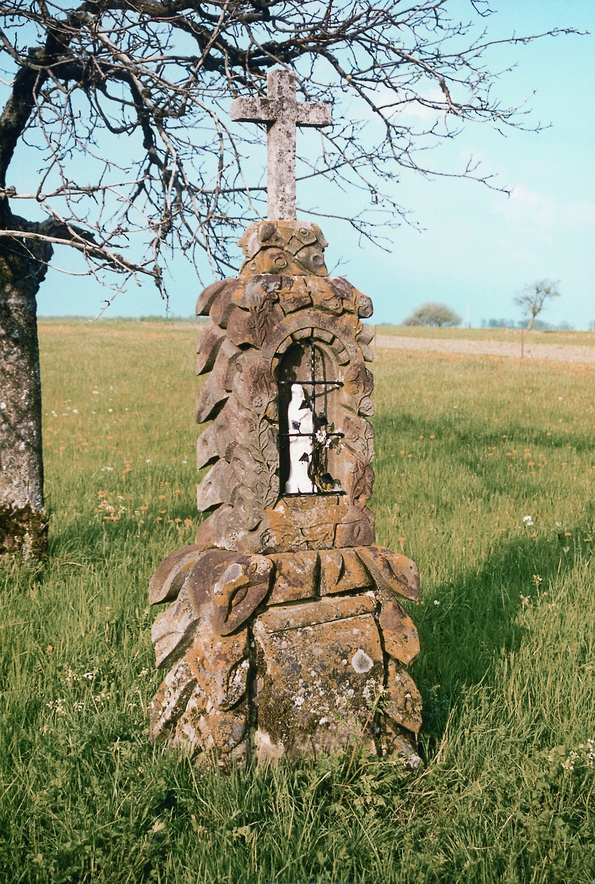 Description de l'image